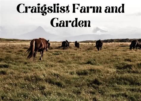 Guide to Buying and Selling Farm and Garden Items on Craigslist La Crosse